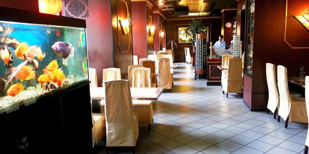 China Restaurant Berlin Huating serving delicious chinese food with nice service and atmosphere