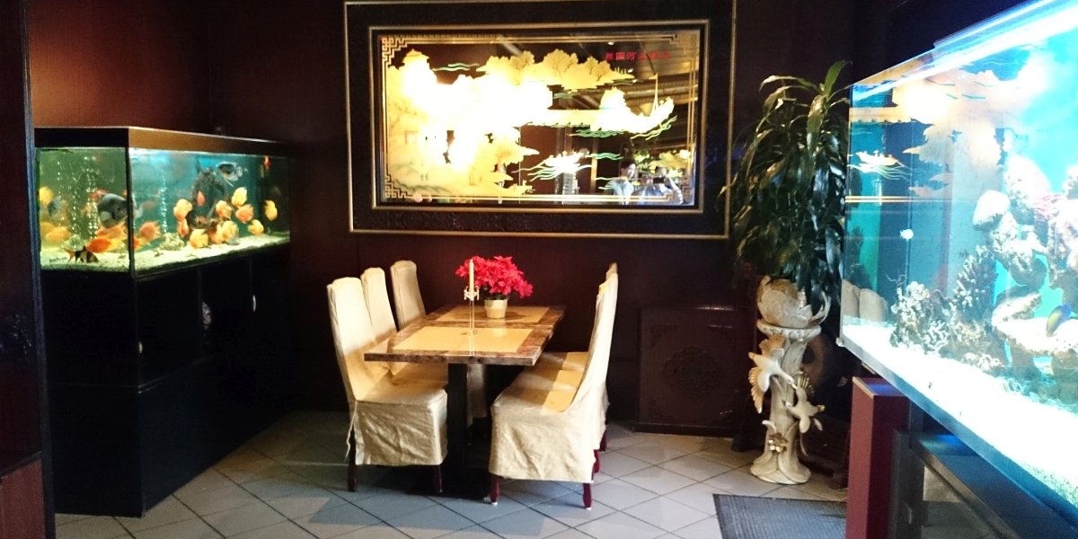 China Restaurant Berlin Huating Chinesisch Essen in schöner Atmosphäre mit freundlichem Service